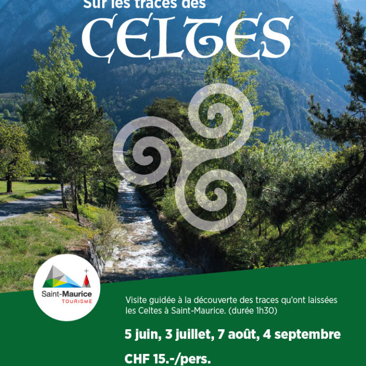 Sur les traces des Celtes