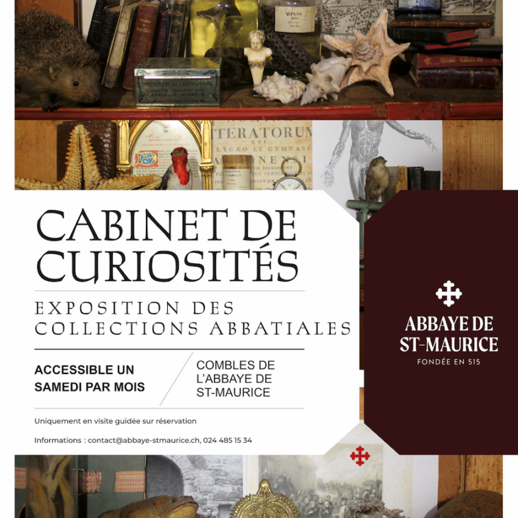 Cabinet de curiosités