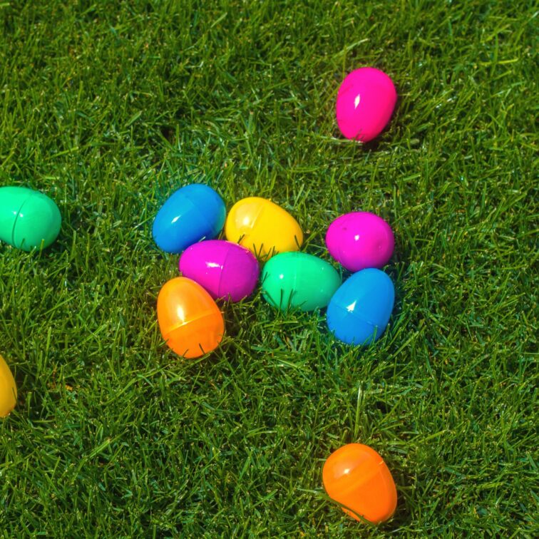 Chasse aux oeufs