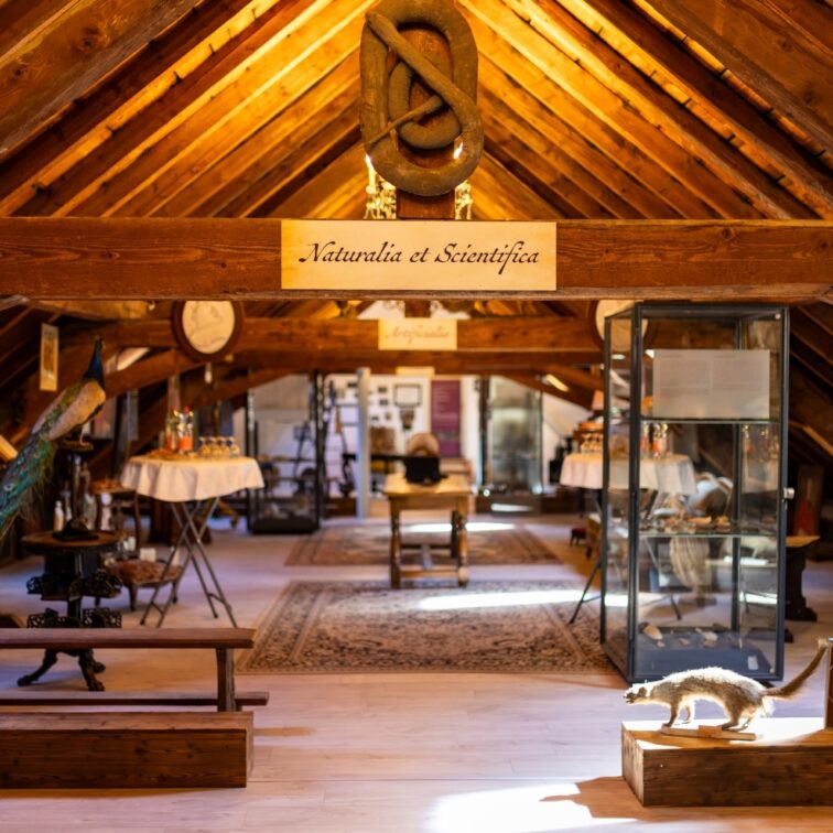 Visite du cabinet de curiosités de l'abbaye