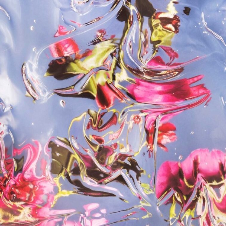 Exposition de Cédric Raccio