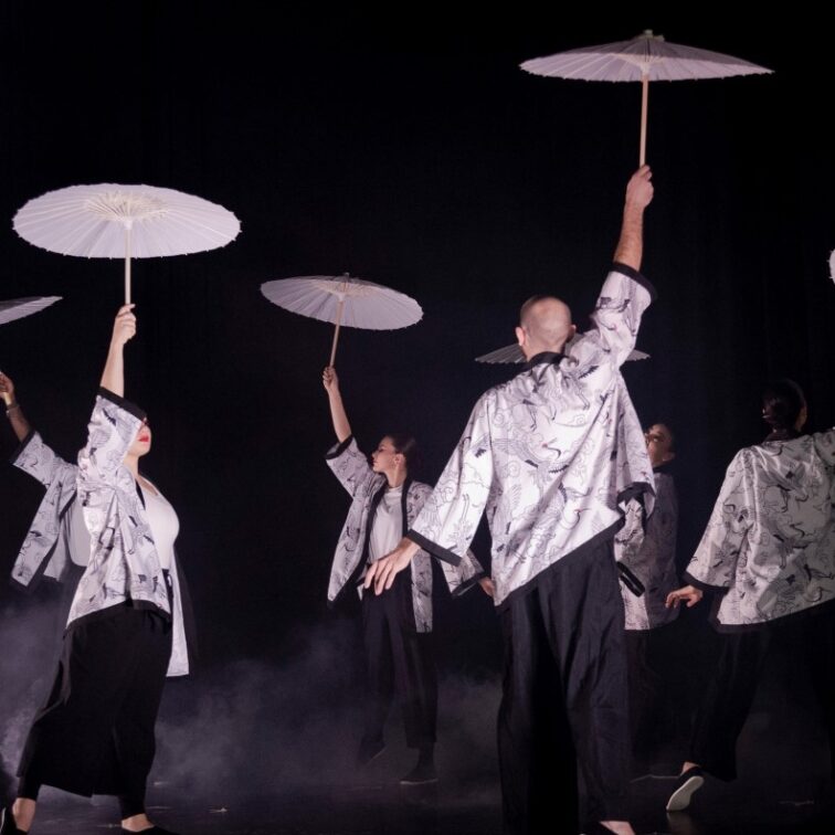 Spectacle annuel de Leo Dance