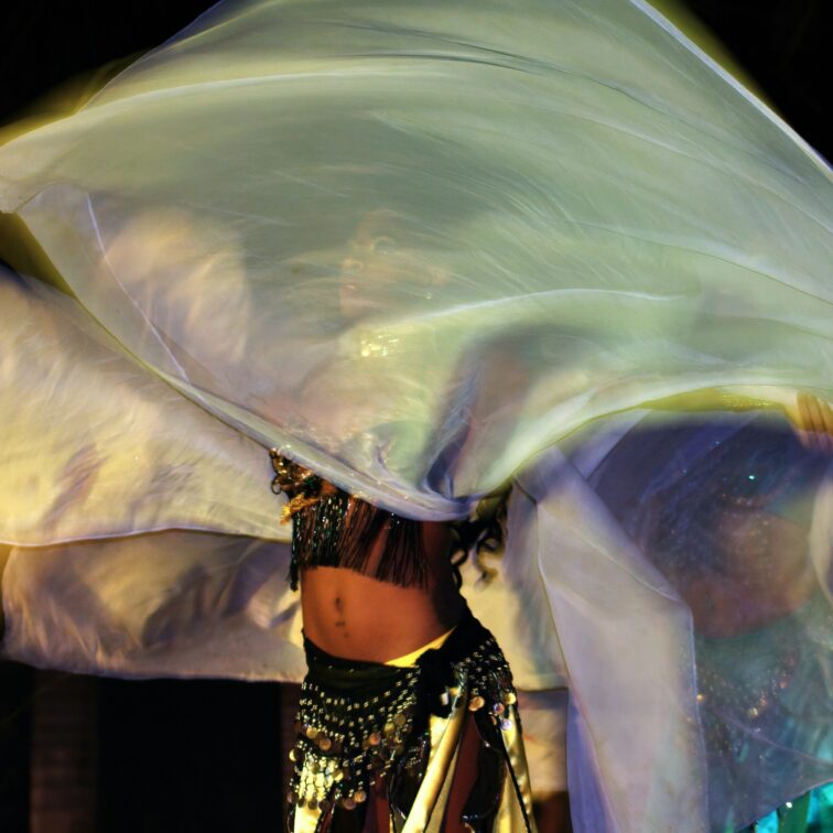 Souper-spectacle de Leo Dance