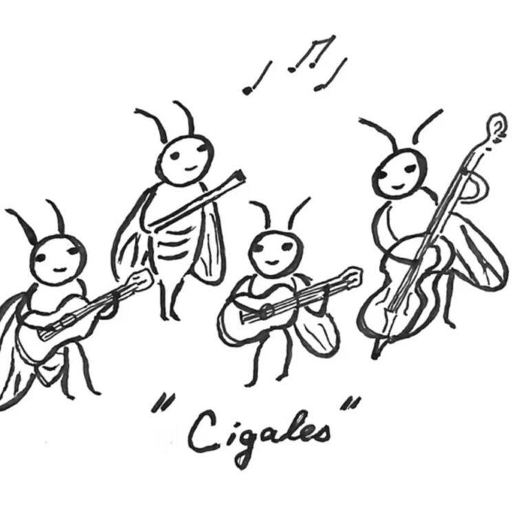 Cigales