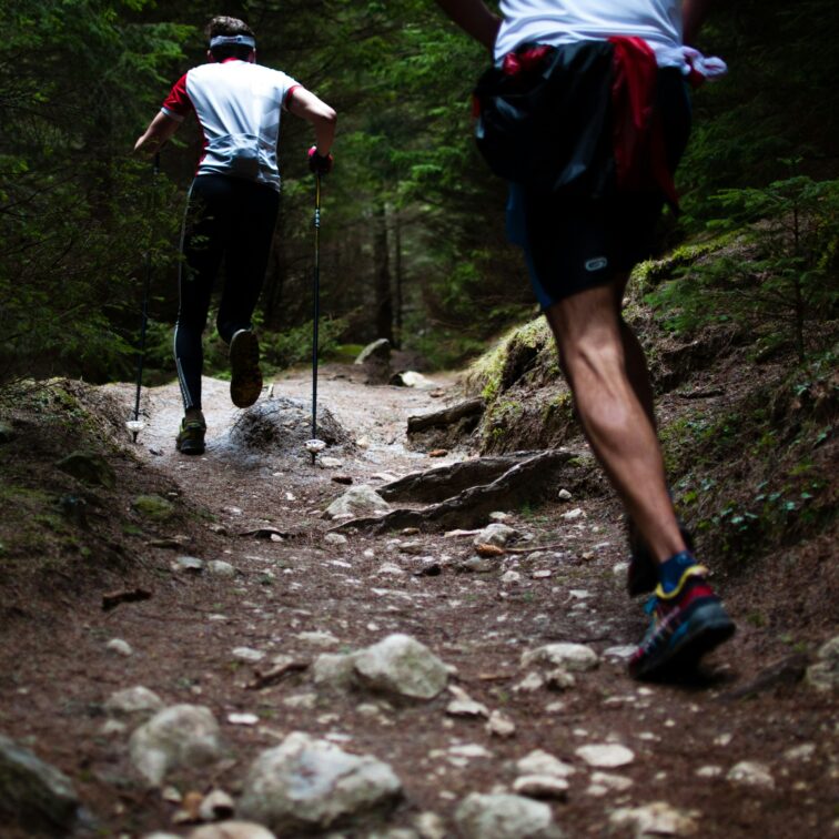 Trail des Planets